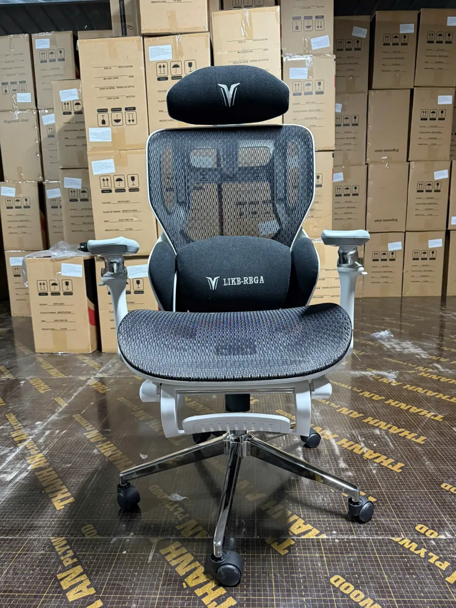 Ghế Công Thái Học LIKE-REGA Chống Đau Lưng