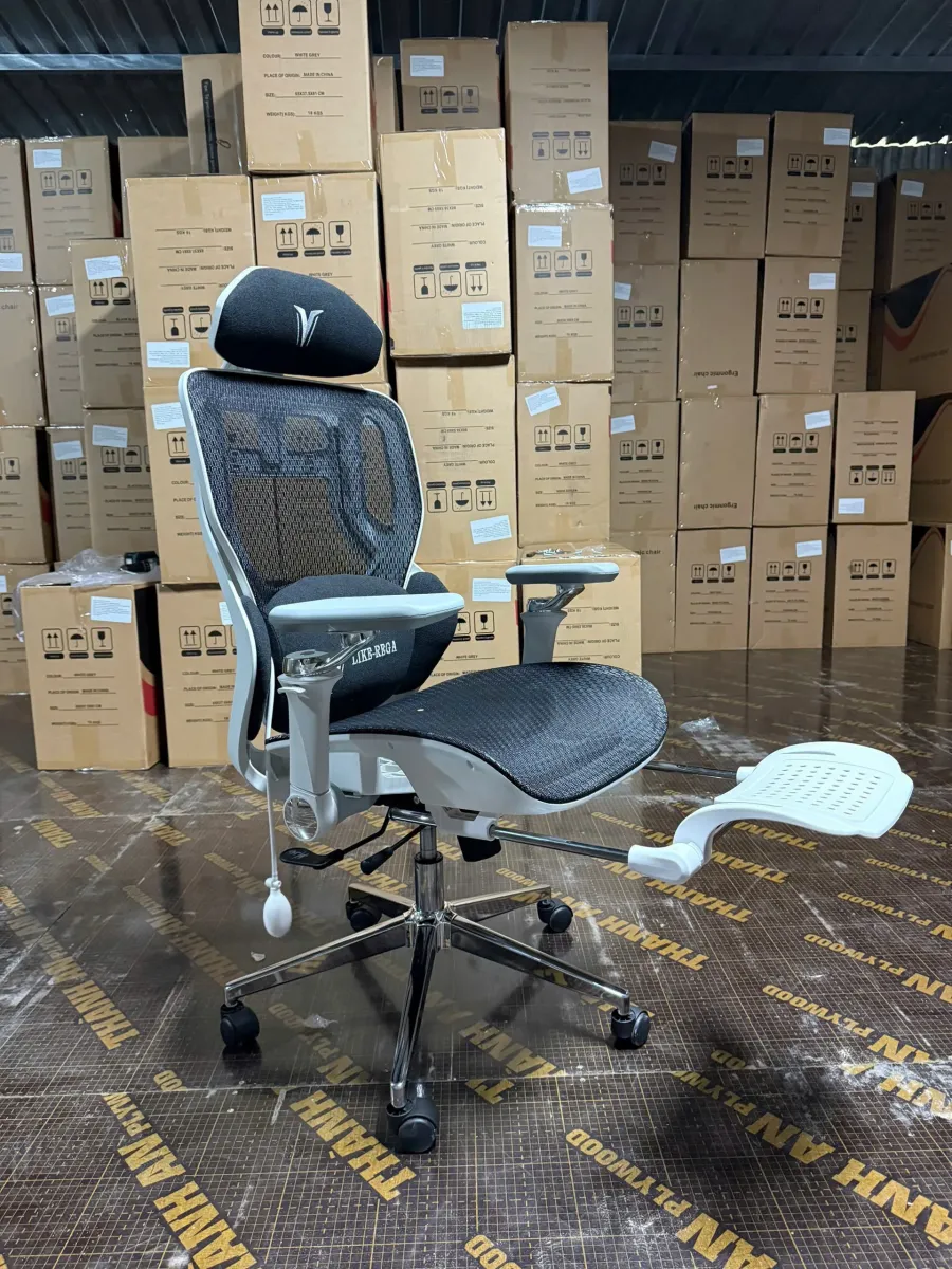 Ghế Công Thái Học LIKE-REGA Chống Đau Lưng