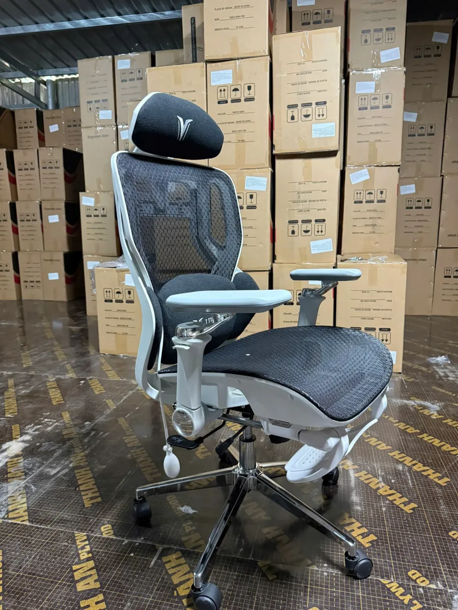 Ghế Công Thái Học LIKE-REGA Chống Đau Lưng