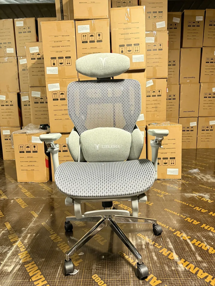 ghe-cong-thai-hoc-like-rega-lung-luoi-cao-cap-03 Ghế Công Thái Học LIKE-REGA Lưng Lưới Cao Cấp