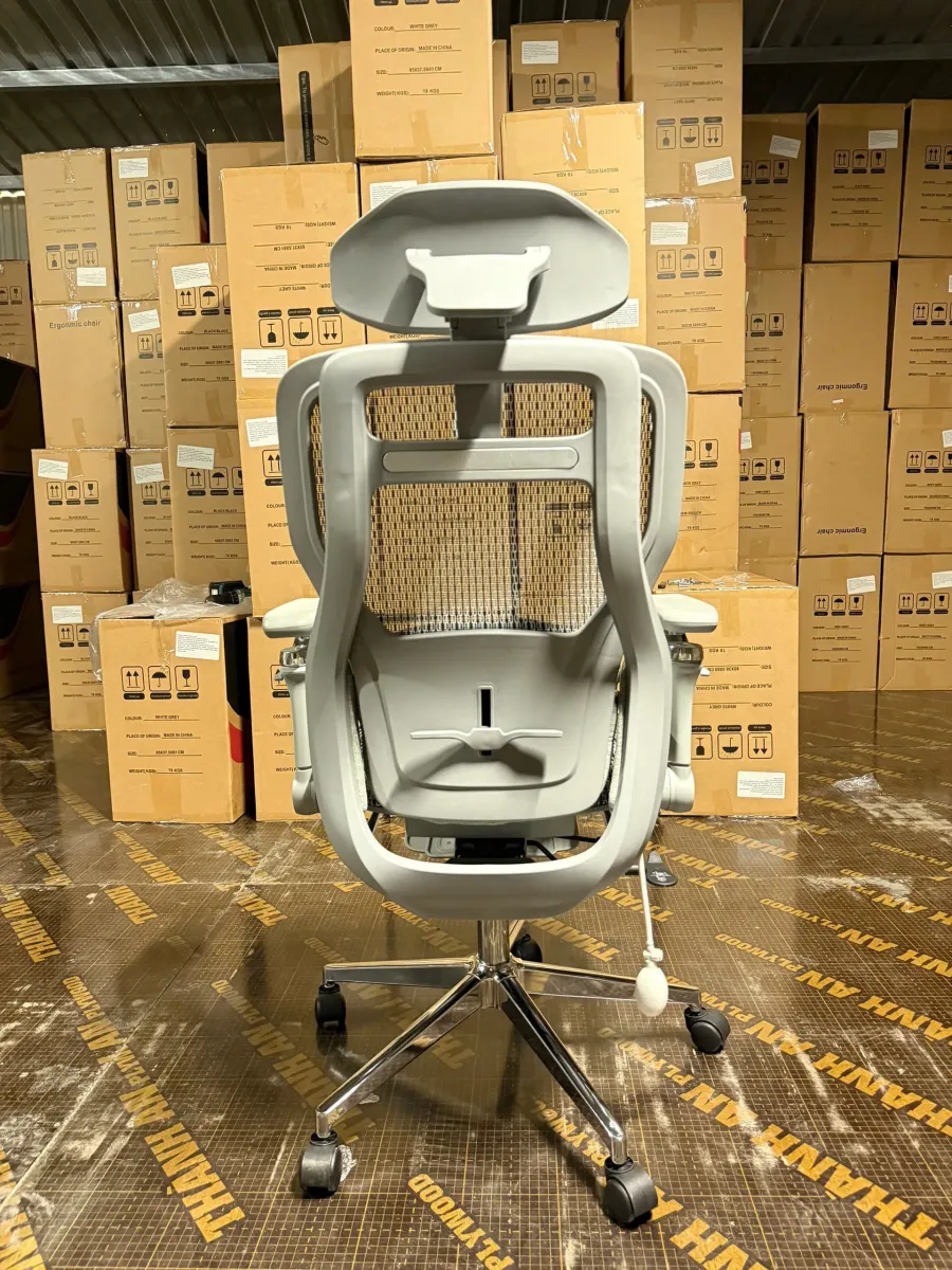 ghe-cong-thai-hoc-like-rega-lung-luoi-cao-cap-05 Ghế Công Thái Học LIKE-REGA Lưng Lưới Cao Cấp