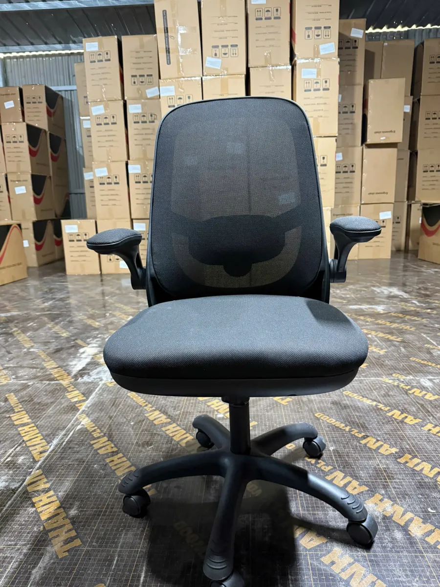 Ghế Công Thái Học T19 Kiểu Dáng Nhỏ Gọn Giá Mềm