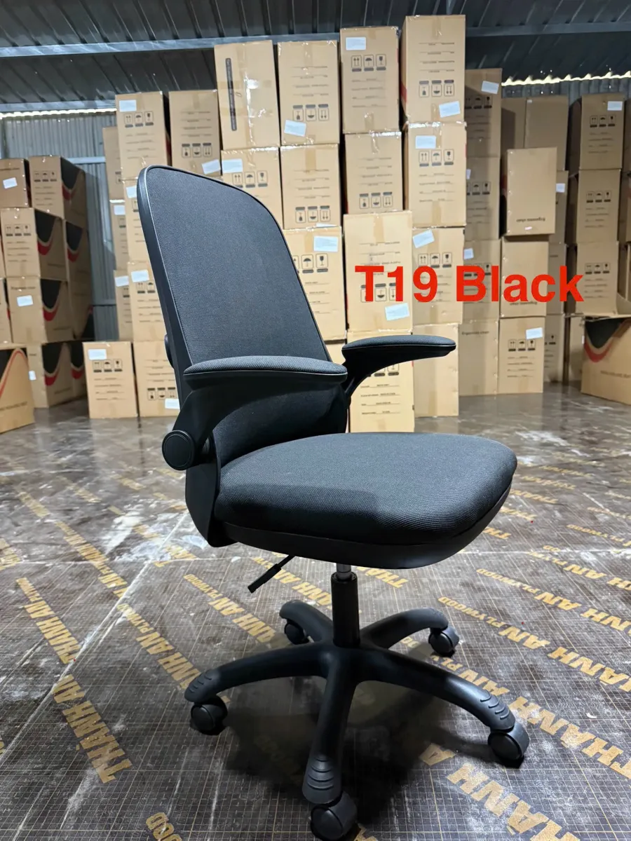 Ghế Công Thái Học T19 Kiểu Dáng Nhỏ Gọn Giá Mềm