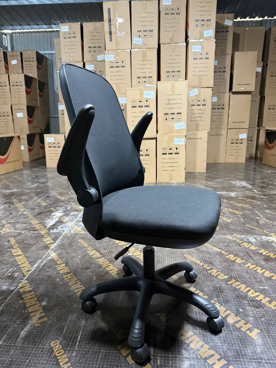 Ghế Công Thái Học T19 Kiểu Dáng Nhỏ Gọn Giá Mềm