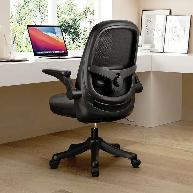 Ghế Công Thái Học T19 Kiểu Dáng Nhỏ Gọn Giá Mềm