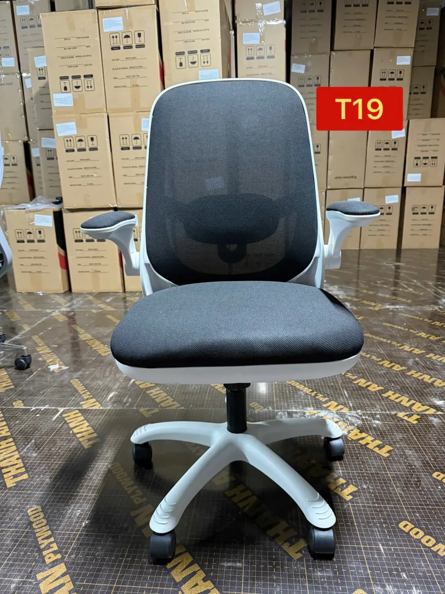 Ghế Công Thái Học T19 Trẻ Trung Tiện Nghi Hiện Đại