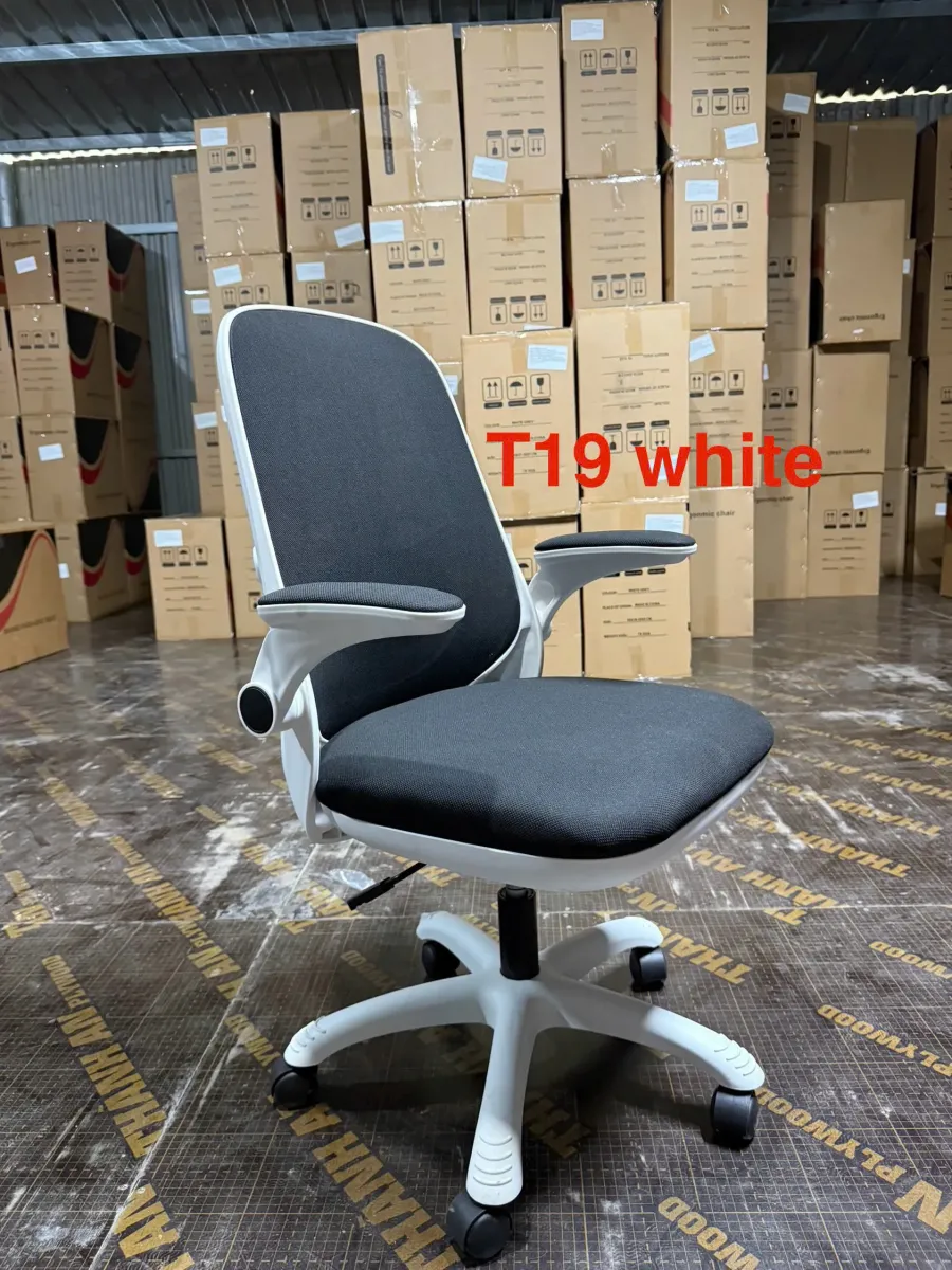 Ghế Công Thái Học T19 Trẻ Trung Tiện Nghi Hiện Đại