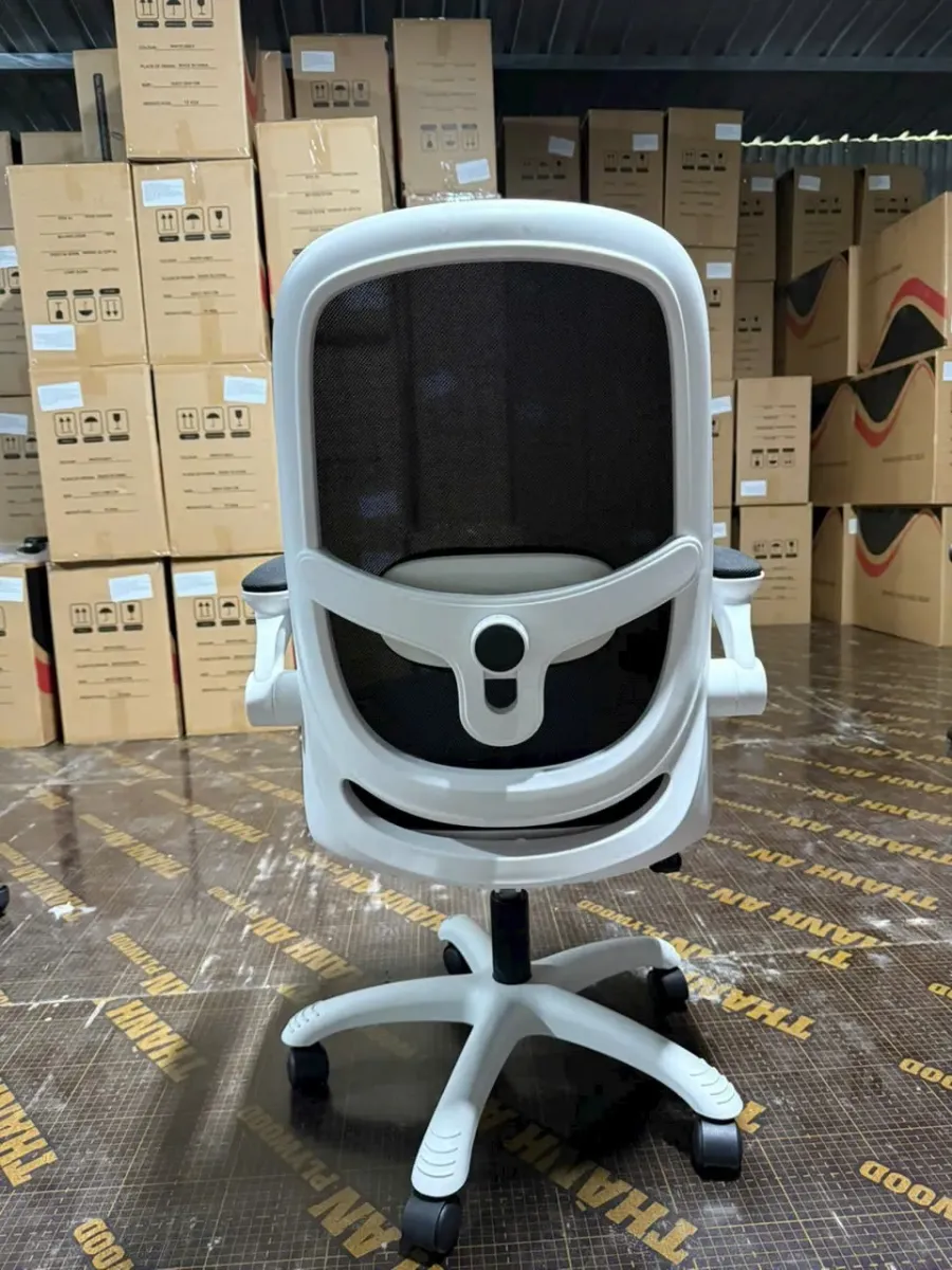 Ghế Công Thái Học T19 Trẻ Trung Tiện Nghi Hiện Đại