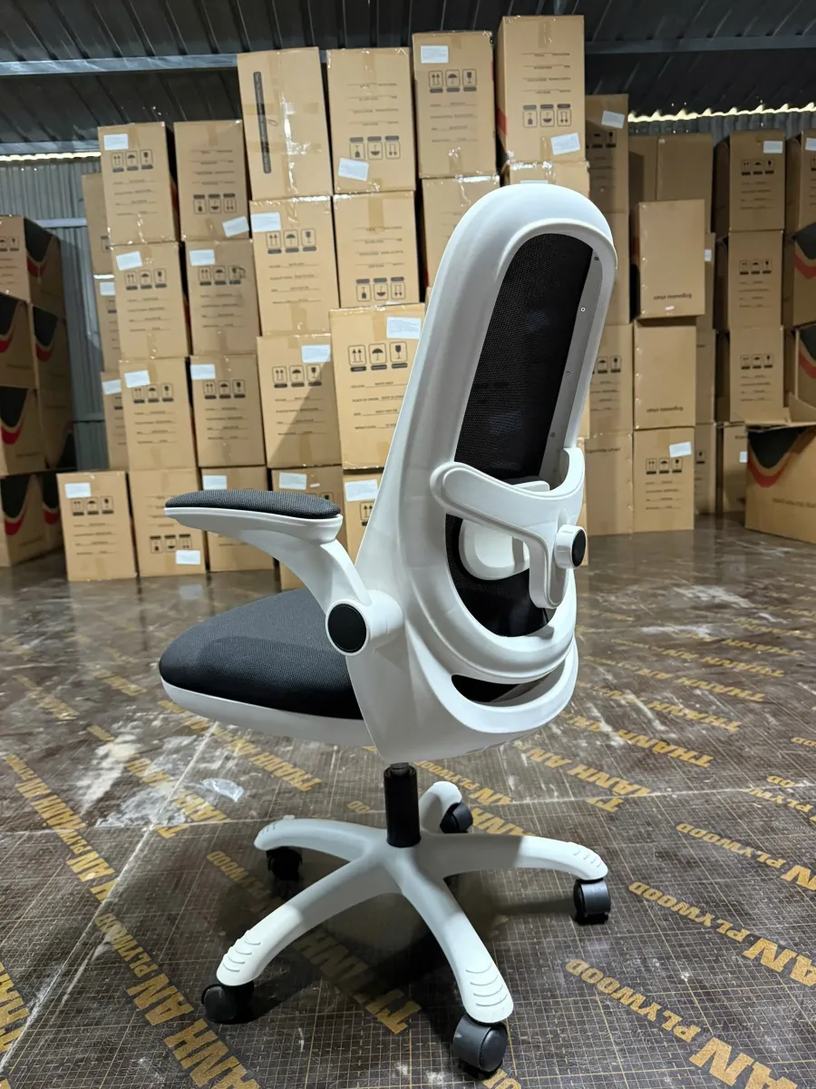 Ghế Công Thái Học T19 Trẻ Trung Tiện Nghi Hiện Đại