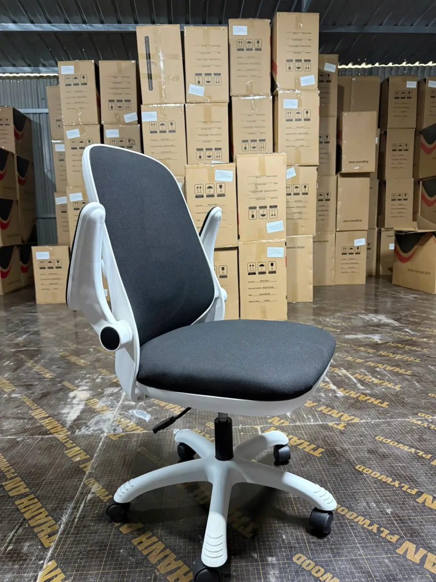 Ghế Công Thái Học T19 Trẻ Trung Tiện Nghi Hiện Đại