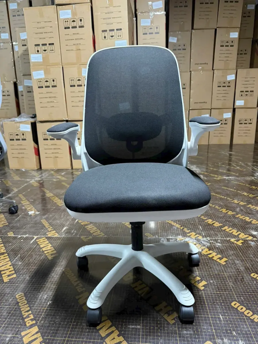 Ghế Công Thái Học T19 Trẻ Trung Tiện Nghi Hiện Đại