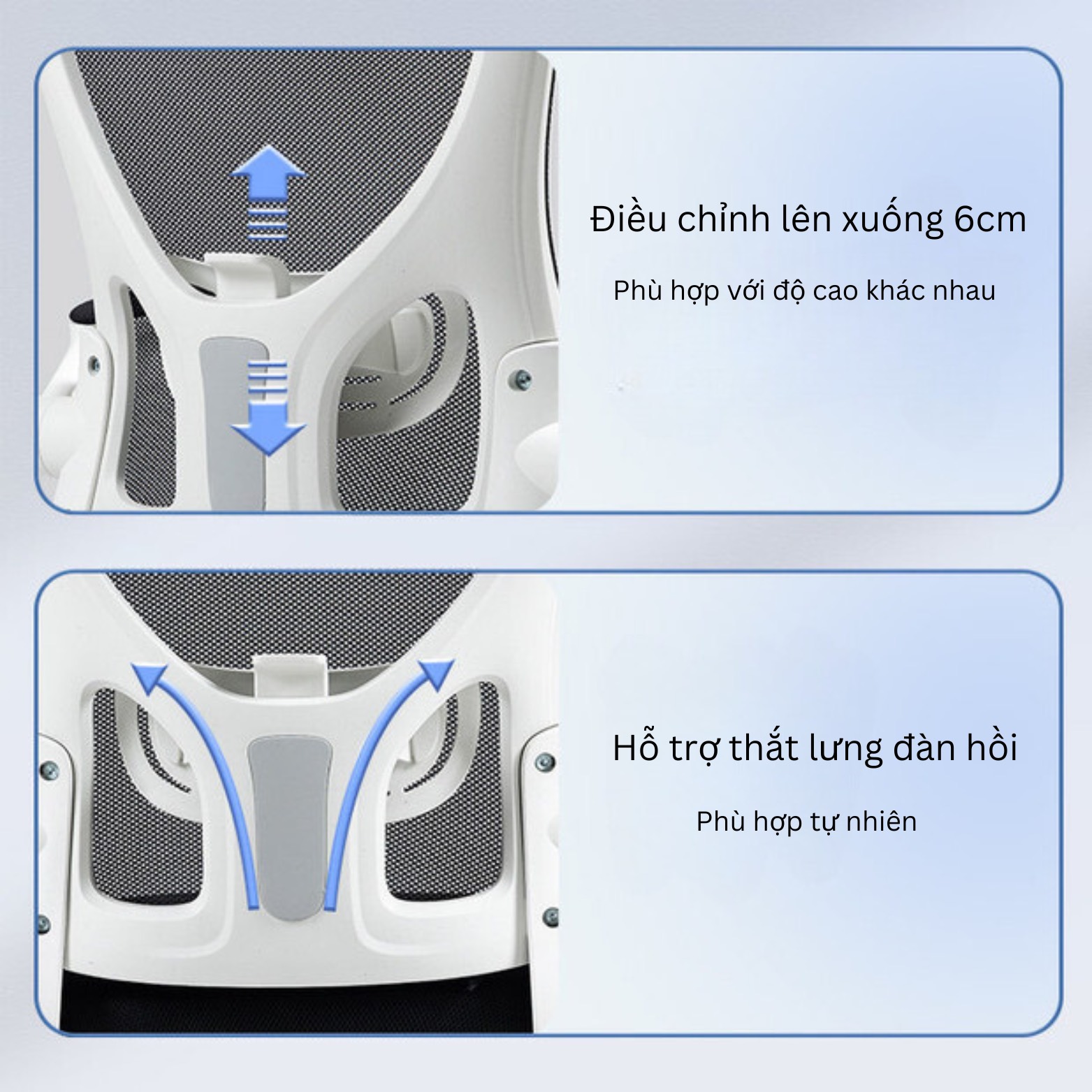 ghe20cong20thai20hoc2010-1