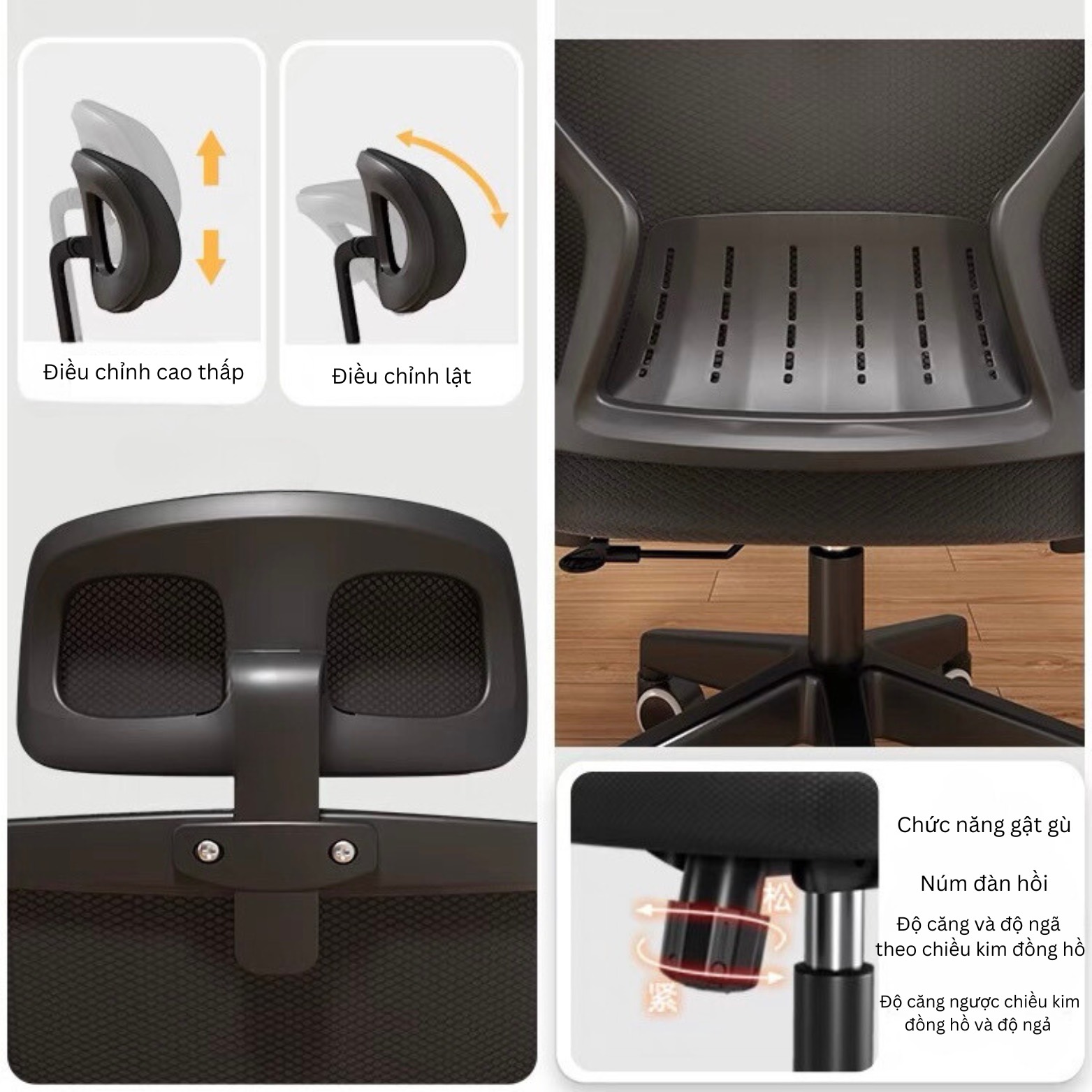 ghe20cong20thai20hoc2010