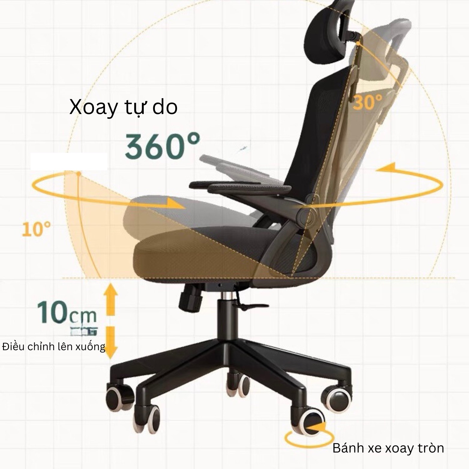ghe20cong20thai20hoc202-1