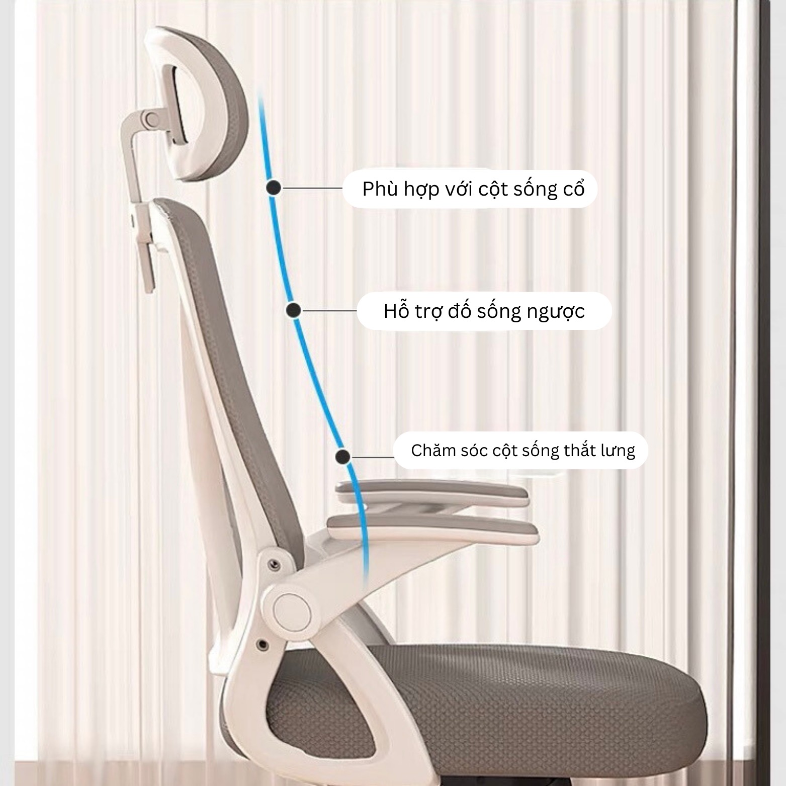 ghe20cong20thai20hoc2028129