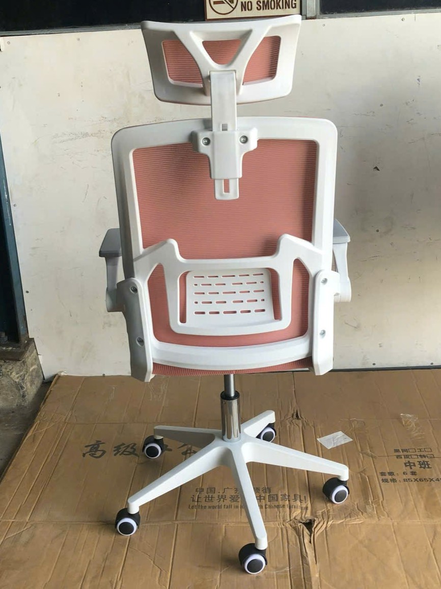 z5959189467338_241b1791680952fec93a297b2aaf043b